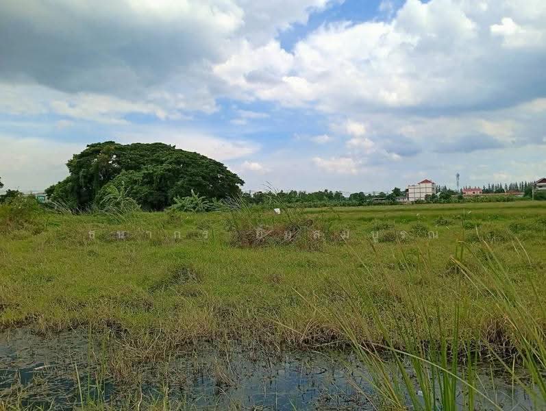 ขายที่ดินแปลงสวยนิมิตรใหม่ จัดสรรแล้ว ทำเลทองทำโครงการหมู่บ้านหรือโกดัง, กรุงเทพ, มีนบุรี, กรุงเทพ, 7,668 ตร.ม., ที่ดิน ขาย, โดย ธนากร ยิ้มสมบูรณ์, 500570121 - DDproperty.com