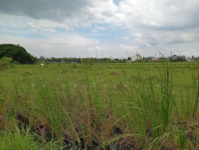 ขายที่ดินแปลงสวยนิมิตรใหม่ จัดสรรแล้ว ทำเลทองทำโครงการหมู่บ้านหรือโกดัง, กรุงเทพ, มีนบุรี, กรุงเทพ, 7,668 ตร.ม., ที่ดิน ขาย, โดย ธนากร ยิ้มสมบูรณ์, 500570121 - DDproperty.com