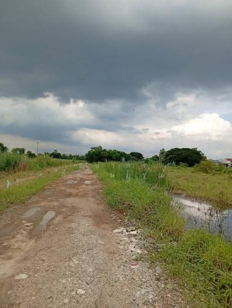 ขายที่ดินแปลงสวยนิมิตรใหม่ จัดสรรแล้ว ทำเลทองทำโครงการหมู่บ้านหรือโกดัง, กรุงเทพ, มีนบุรี, กรุงเทพ, 7,668 ตร.ม., ที่ดิน ขาย, โดย ธนากร ยิ้มสมบูรณ์, 500570121 - DDproperty.com