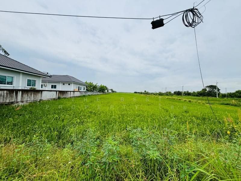 ที่ดินท่าไข่ ฉะเชิงเทรา, ฉะเชิงเทรา, ท่าไข่, เมืองฉะเชิงเทรา, ฉะเชิงเทรา, 13,072 ตร.ม., ที่ดิน ขาย, โดย The Best Property โอม, 500570128 - DDproperty.com
