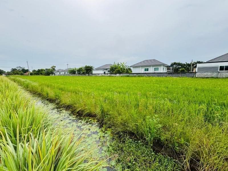 ที่ดินท่าไข่ ฉะเชิงเทรา, ฉะเชิงเทรา, ท่าไข่, เมืองฉะเชิงเทรา, ฉะเชิงเทรา, 13,072 ตร.ม., ที่ดิน ขาย, โดย The Best Property โอม, 500570128 - DDproperty.com