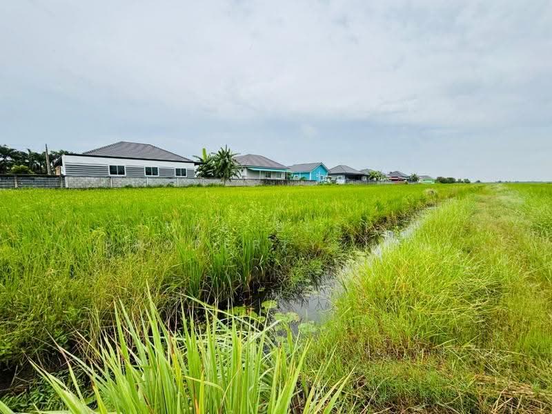 ที่ดินท่าไข่ ฉะเชิงเทรา, ฉะเชิงเทรา, ท่าไข่, เมืองฉะเชิงเทรา, ฉะเชิงเทรา, 13,072 ตร.ม., ที่ดิน ขาย, โดย The Best Property โอม, 500570128 - DDproperty.com