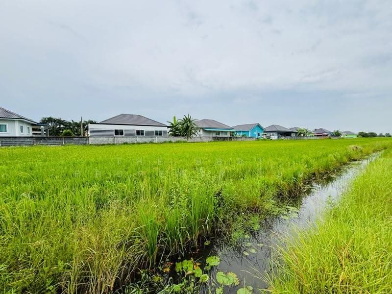ที่ดินท่าไข่ ฉะเชิงเทรา, ฉะเชิงเทรา, ท่าไข่, เมืองฉะเชิงเทรา, ฉะเชิงเทรา, 13,072 ตร.ม., ที่ดิน ขาย, โดย The Best Property โอม, 500570128 - DDproperty.com