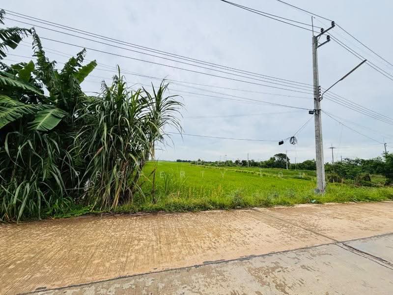 ที่ดินท่าไข่ ฉะเชิงเทรา, Chachoengsao, Tha Khai, Muang Chachoengsao, Chachoengsao, , 13,072 sqm, Land For Sale, by The Best Property โอม, 500570128 - DDproperty.com