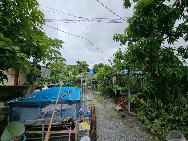 บ้านเดี่ยวพร้อมที่ดินบ้านสวน ชลบุรี, Chon Buri (Pattaya), Ban Suan, Muang Chon Buri, Chon Buri (Pattaya), 6 Bedrooms, 162 sqm, Single Detached House For Sale, by The Best Property ส้ม, 500570150 - DDproperty.com