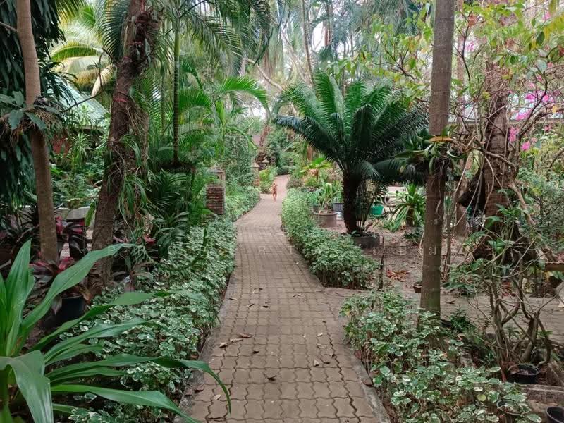 โรงแรมคลองใหญ่ ตราด, ตราด, ไม้รูด, คลองใหญ่, ตราด, 150 ตร.ม., บ้านเดี่ยว ขาย, โดย The Best Property เบิ้ม, 500570156 - DDproperty.com