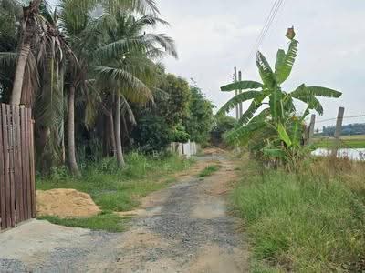 ขาย - ที่ดินไทรน้อย นนทบุรี, นนทบุรี