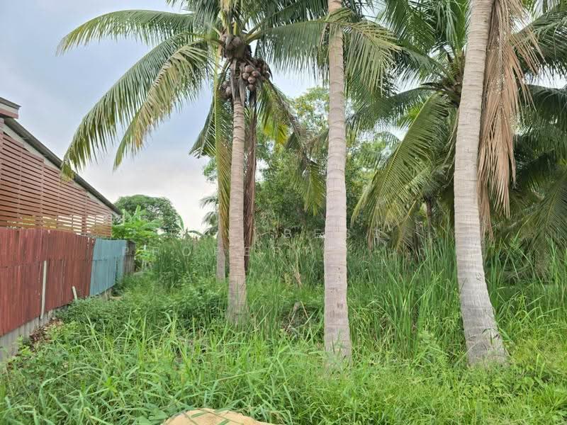 ที่ดินไทรน้อย นนทบุรี, Nonthaburi, Rat Niyom, Sai Noi, Nonthaburi, , 868 sqm, Land For Sale, by The Best Property นก, 500570165 - DDproperty.com