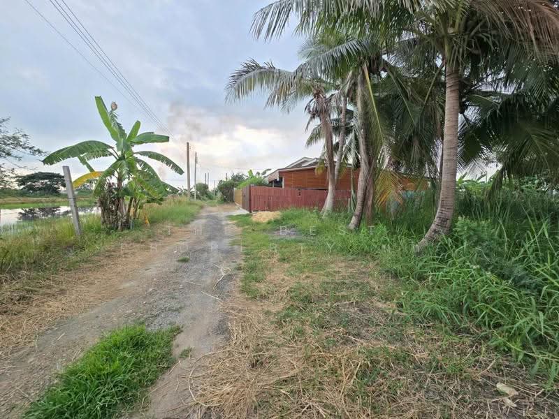 ที่ดินไทรน้อย นนทบุรี, Nonthaburi, Rat Niyom, Sai Noi, Nonthaburi, , 868 sqm, Land For Sale, by The Best Property นก, 500570165 - DDproperty.com