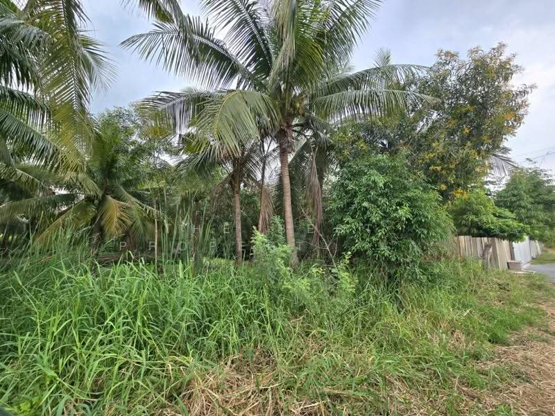 ที่ดินไทรน้อย นนทบุรี, Nonthaburi, Rat Niyom, Sai Noi, Nonthaburi, , 868 sqm, Land For Sale, by The Best Property นก, 500570165 - DDproperty.com