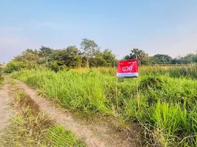 ขาย - ที่ดินหนองเสือ ปทุมธานี, ปทุมธานี