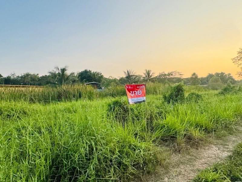 ที่ดินหนองเสือ ปทุมธานี, ปทุมธานี, บึงบา, หนองเสือ, ปทุมธานี, 800 ตร.ม., ที่ดิน ขาย, โดย The Best Property รัตน์, 500570168 - DDproperty.com