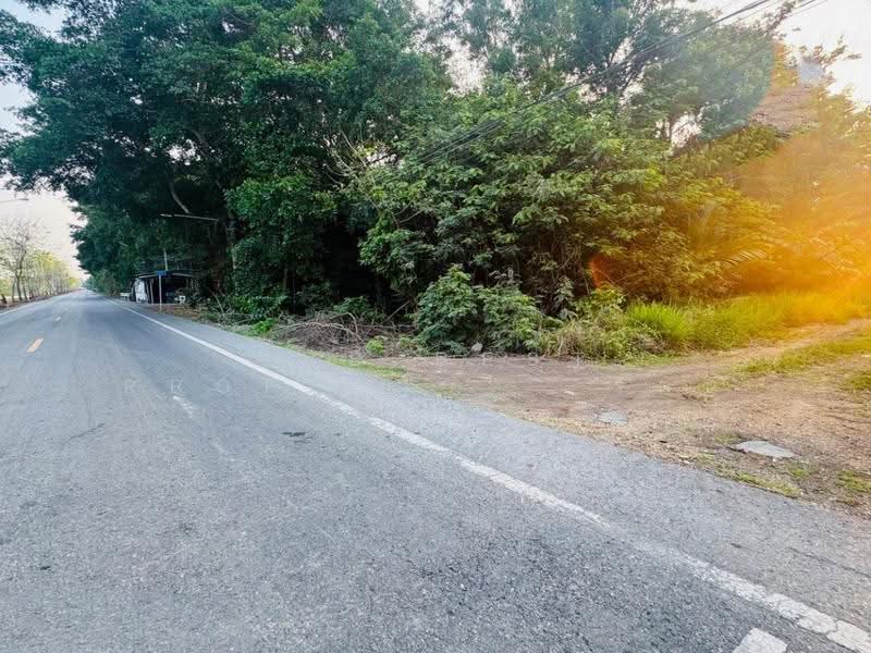 ที่ดินหนองเสือ ปทุมธานี, ปทุมธานี, บึงบา, หนองเสือ, ปทุมธานี, 800 ตร.ม., ที่ดิน ขาย, โดย The Best Property รัตน์, 500570168 - DDproperty.com