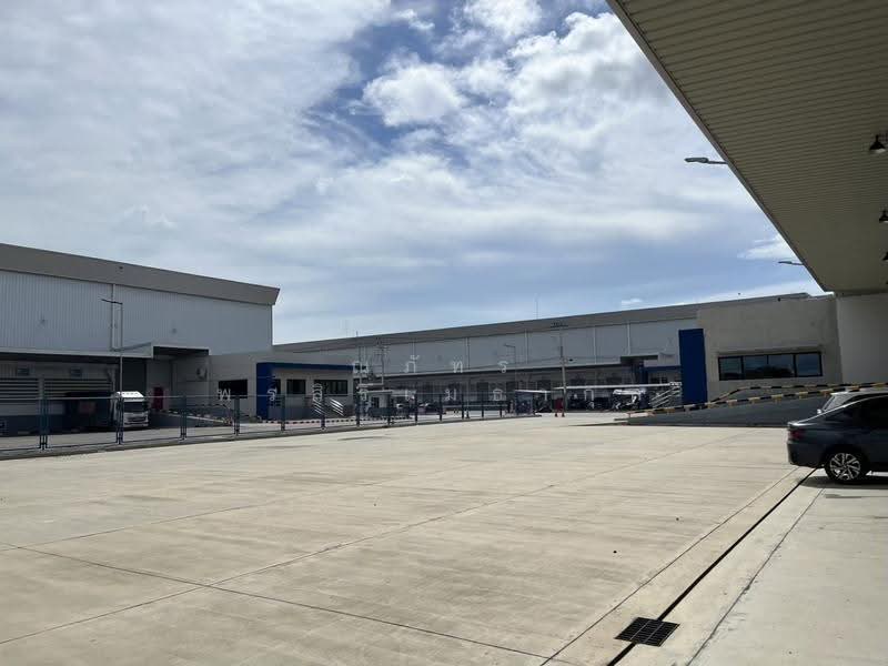 ให้เช่าคลังสินค้า โกดัง พื้นยกสูง 7,769 ตรม. บางนา-ตราด สมุทรปราการ (TW8-32126), Samut Prakan, Bang Sao Thong, Samut Prakan, , 7,769 sqm, Warehouse/Factory For Rent, by ณภัทร พรสิริเมธากุล, 500570191 - DDproperty.com