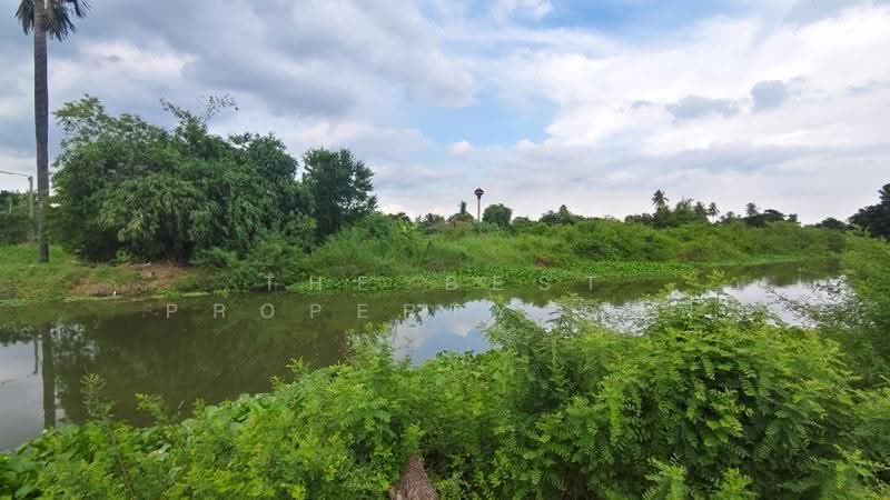 ที่ดินนครชัยศรี นครปฐม, Nakhon Pathom, Laem Bua, Nakhon Chai Sri, Nakhon Pathom, , 8,036 sqm, Land For Sale, by The Best Property จิฟฟี่, 500570223 - DDproperty.com