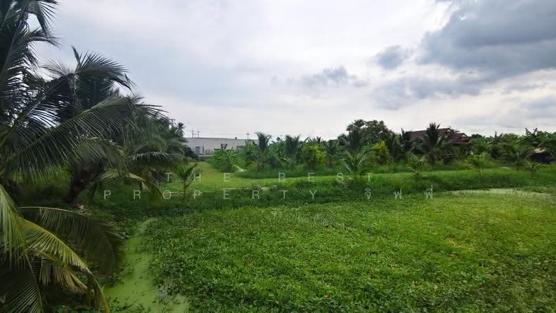 ที่ดินนครชัยศรี นครปฐม, Nakhon Pathom, Laem Bua, Nakhon Chai Sri, Nakhon Pathom, , 8,036 sqm, Land For Sale, by The Best Property จิฟฟี่, 500570223 - DDproperty.com