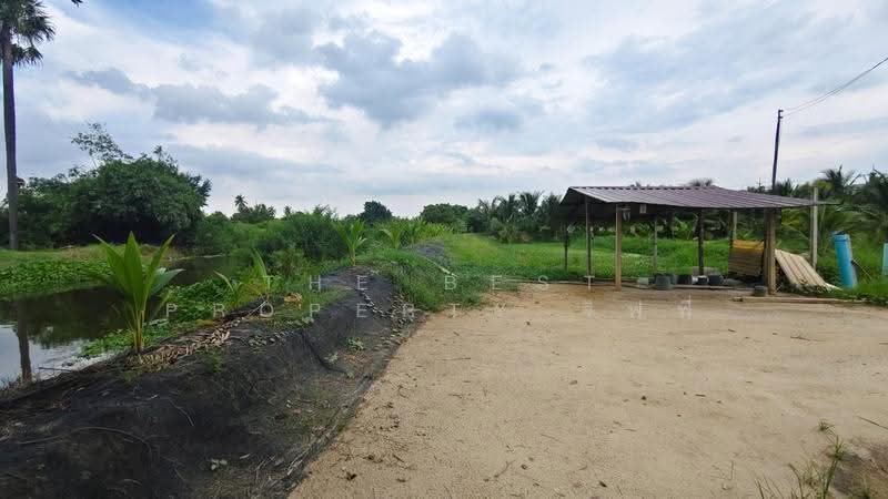 ที่ดินนครชัยศรี นครปฐม, Nakhon Pathom, Laem Bua, Nakhon Chai Sri, Nakhon Pathom, , 8,036 sqm, Land For Sale, by The Best Property จิฟฟี่, 500570223 - DDproperty.com