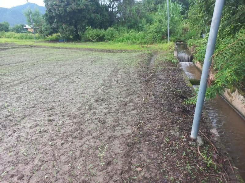 ที่ดินปาย แม่ฮ่องสอน, mae-hong-son, Wiang Nua, Pai, Mae Hong Son, , 1,856 sqm, Land For Sale, by The Best Property บ๊วย, 500570241 - DDproperty.com