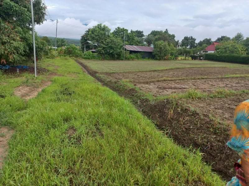 ที่ดินปาย แม่ฮ่องสอน, mae-hong-son, Wiang Nua, Pai, Mae Hong Son, , 1,856 sqm, Land For Sale, by The Best Property บ๊วย, 500570241 - DDproperty.com