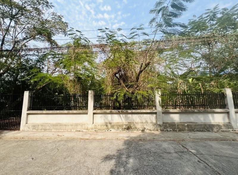 ที่ดิน ซอยพหลโยธิน 63 (บางเขน), กรุงเทพ, พหลโยธิน, อนุสาวรีย์, บางเขน, กรุงเทพ, 1,472 ตร.ม., ที่ดิน ขาย, โดย คัทยวรรณ หิรัญจิโรจน์, 500570271 - DDproperty.com