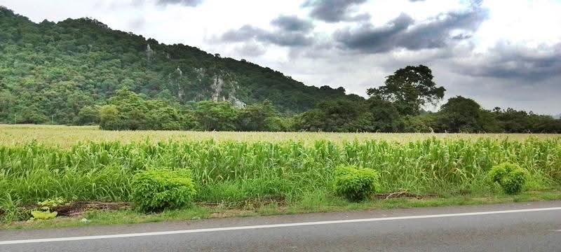 ขายที่ดินสระบุรี อ.แก่งคอย แปลงสวย ติดถนนใหญ่ วิวภูเขา บรรยากาศดี เดินทางสะดวก เห, สระบุรี, ท่าคล้อ, แก่งคอย, สระบุรี, 69,868 ตร.ม., ที่ดิน ขาย, โดย วรัญญา อาชวรัตน์ถาวร, 500570282 - DDproperty.com