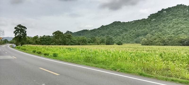 ขายที่ดินสระบุรี อ.แก่งคอย แปลงสวย ติดถนนใหญ่ วิวภูเขา บรรยากาศดี เดินทางสะดวก เห, สระบุรี, ท่าคล้อ, แก่งคอย, สระบุรี, 69,868 ตร.ม., ที่ดิน ขาย, โดย วรัญญา อาชวรัตน์ถาวร, 500570282 - DDproperty.com
