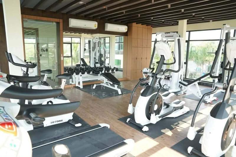 Dusit Grand Condo View : ดุสิต แกรนด์ คอนโด วิว, ชลบุรี, ถนนจอมเทียนสาย 2, หนองปรือ, บางละมุง, ชลบุรี, 36 ตร.ม., คอนโด ให้เช่า, โดย Praveen Prabhat Peter, 500570295 - DDproperty.com