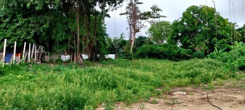 ขายที่ดินถนนประชาสุนทรซอย 11 ขนาด 422 ตร วา ห่างหนึ่งกิโลจากถนนบางแสน-อ่างศิลา ชลบุรี, ชลบุรี, ประชาสุนทร ซอย11, บ้านปึก, เมืองชลบุรี, ชลบุรี, 1,688 ตร.ม., ที่ดิน ขาย, โดย Khun Mac, 500570379 - DDproperty.com