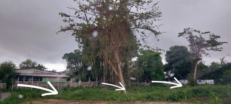ขายที่ดินถนนประชาสุนทรซอย 11 ขนาด 422 ตร วา ห่างหนึ่งกิโลจากถนนบางแสน-อ่างศิลา ชลบุรี, ชลบุรี, ประชาสุนทร ซอย11, บ้านปึก, เมืองชลบุรี, ชลบุรี, 1,688 ตร.ม., ที่ดิน ขาย, โดย Khun Mac, 500570379 - DDproperty.com