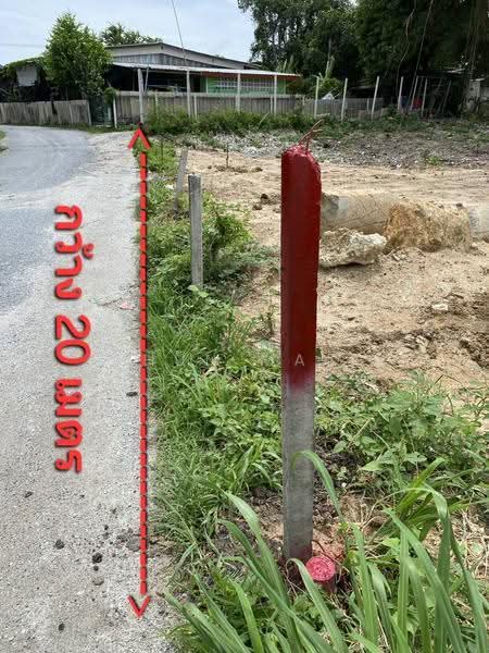 ขายที่ดินถนนประชาสุนทรซอย 11 ขนาด 422 ตร วา ห่างหนึ่งกิโลจากถนนบางแสน-อ่างศิลา ชลบุรี, ชลบุรี, ประชาสุนทร ซอย11, บ้านปึก, เมืองชลบุรี, ชลบุรี, 1,688 ตร.ม., ที่ดิน ขาย, โดย Khun Mac, 500570379 - DDproperty.com