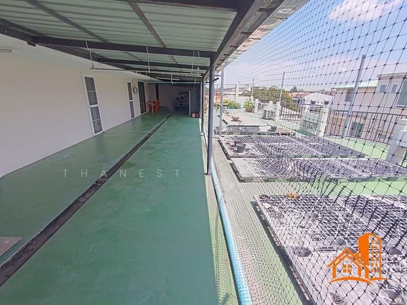 อาคาร Mixed-use Building (ออฟฟิศ, โกดัง พร้อมที่พัก), กรุงเทพ, บางจาก, พระโขนง, กรุงเทพ, 1,000 ตร.ม., ตึกแถว-อาคารพาณิชย์ ขาย, โดย Thanest Kongsuk, 500570430 - DDproperty.com