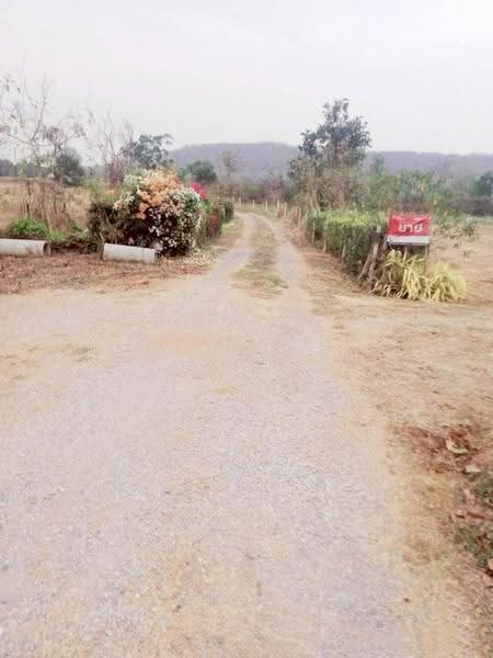 ที่ดินหนองปลาไหล สระบุรี, สระบุรี, หนองปลาไหล, เมืองสระบุรี, สระบุรี, 4,865 ตร.ม., ที่ดิน ขาย, โดย The Best Property เป้, 500570433 - DDproperty.com