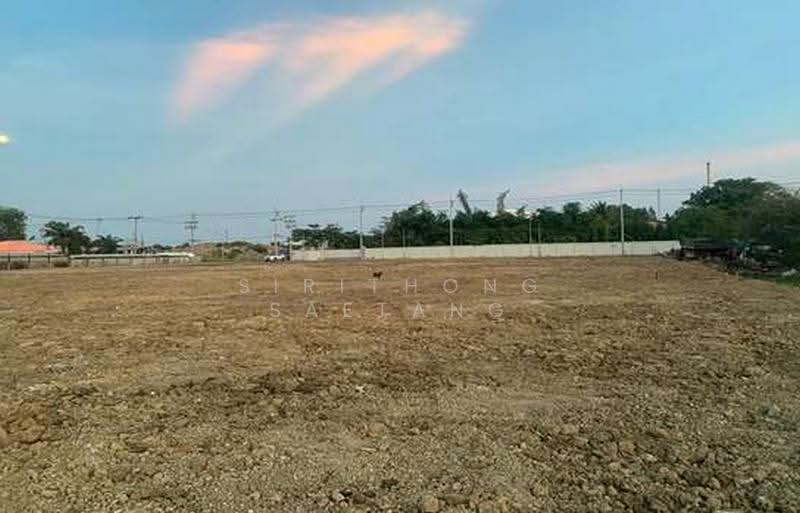 Vacant land, already leveled 5 Rai, on Thaibaan Road, Mueang Samut Prakan, Samut Prakan, Tai Ban, Muang Samut Prakarn, Samut Prakan, , 8,000 sqm, Land For Rent, by Sirithong Saetang, 500570454 - DDproperty.com