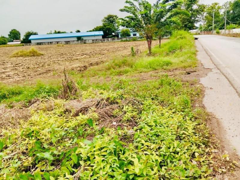 ที่ดินวิเชียรบุรี เพชรบูรณ์, เพชรบูรณ์, สระประดู่, วิเชียรบุรี, เพชรบูรณ์, 25,108 ตร.ม., ที่ดิน ขาย, โดย The Best Property นัช, 500570471 - DDproperty.com