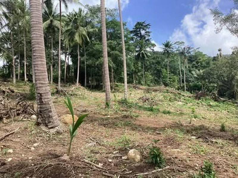 Land with sea view 6 Rai, next to a public road, , Lipa Noi, Koh Samui, Surat Thani, ทวีราษฎร์ภักดี, Lipa Noi, Ko Samui, Surat Thani, , 9,600 sqm, Land For Sale, by Sirithong Saetang, 500570495 - DDproperty.com
