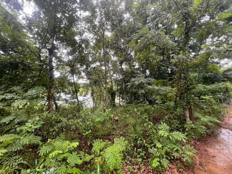 ที่ดินสระขวัญ สระแก้ว, Sa Kaeo, Sra Khuan, Muang Sa Kaeo, Sa Kaeo, , 55,048 sqm, Land For Sale, by The Best Property วรรณ, 500570504 - DDproperty.com