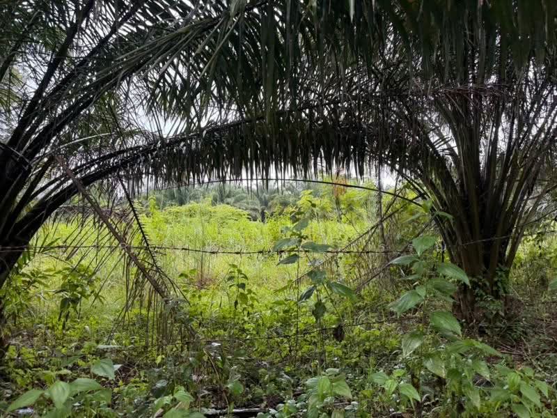 ที่ดินสระขวัญ สระแก้ว, Sa Kaeo, Sra Khuan, Muang Sa Kaeo, Sa Kaeo, , 55,048 sqm, Land For Sale, by The Best Property วรรณ, 500570504 - DDproperty.com