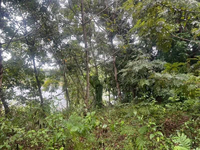 ที่ดินสระขวัญ สระแก้ว, Sa Kaeo, Sra Khuan, Muang Sa Kaeo, Sa Kaeo, , 55,048 sqm, Land For Sale, by The Best Property วรรณ, 500570504 - DDproperty.com