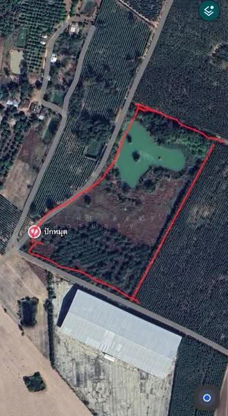 ที่ดินสระขวัญ สระแก้ว, Sa Kaeo, Sra Khuan, Muang Sa Kaeo, Sa Kaeo, , 55,048 sqm, Land For Sale, by The Best Property วรรณ, 500570504 - DDproperty.com
