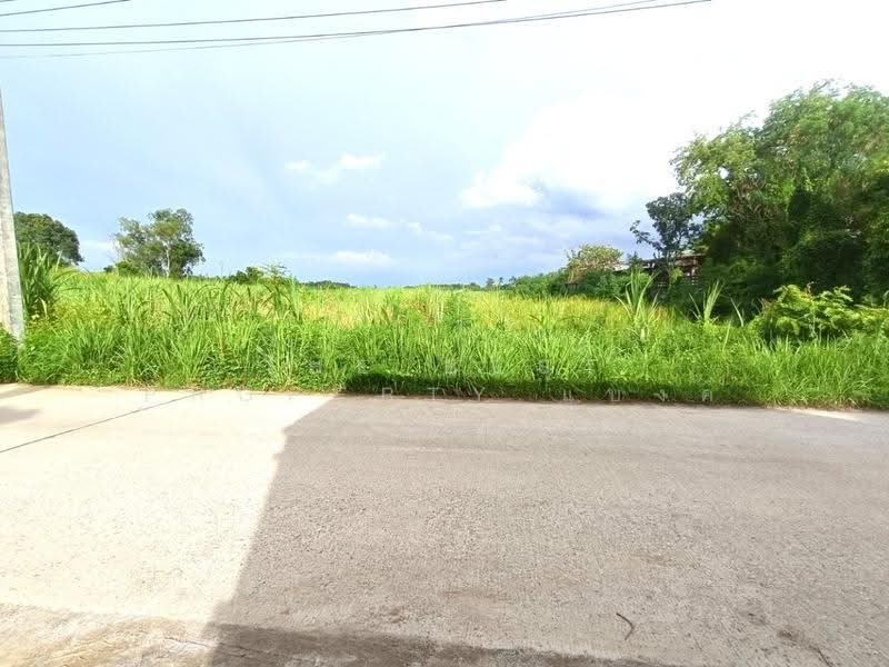 ที่ดินบ้านบึง ชลบุรี, ชลบุรี, หนองอิรุณ, บ้านบึง, ชลบุรี, 12,560 ตร.ม., ที่ดิน ขาย, โดย The Best Property แบงค์, 500570555 - DDproperty.com