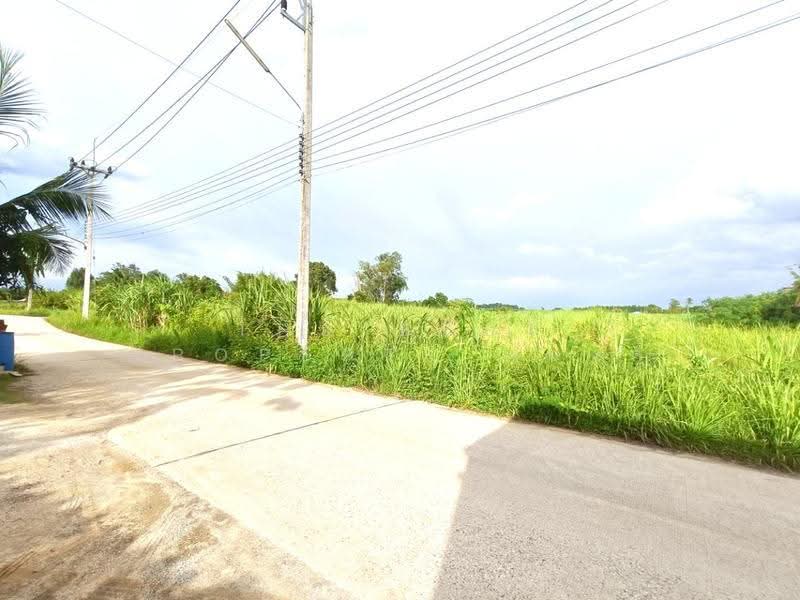 ที่ดินบ้านบึง ชลบุรี, Chon Buri (Pattaya), Nong I-run, Ban Bung, Chon Buri (Pattaya), , 12,560 sqm, Land For Sale, by The Best Property แบงค์, 500570555 - DDproperty.com