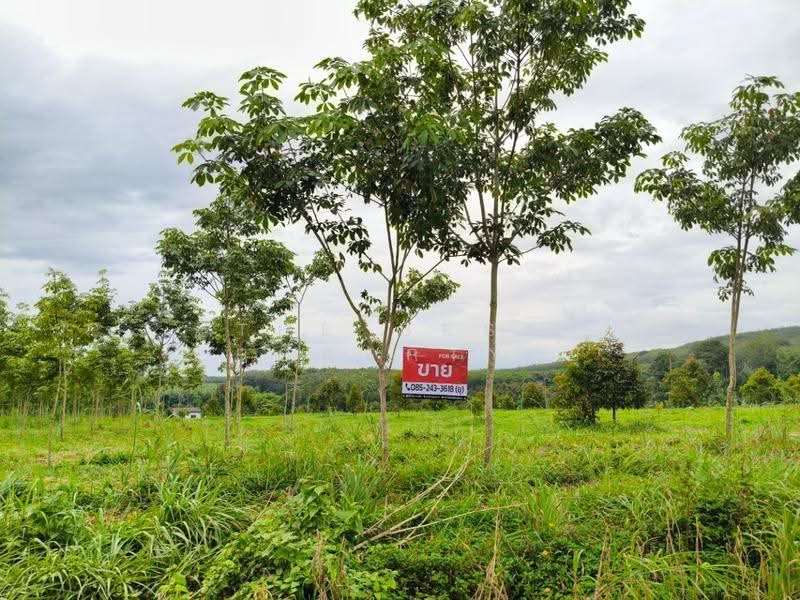 ที่ดินแกลง ระยอง, rayong, Krasae Bon, Klaeng, Rayong, , 17,780 sqm, Land For Sale, by The Best Property ยุ, 500570561 - DDproperty.com