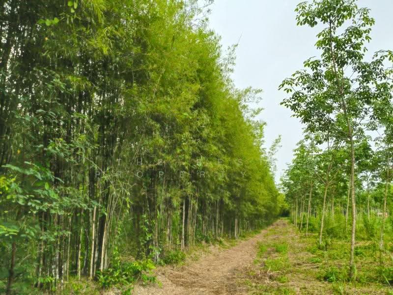 ที่ดินแกลง ระยอง, rayong, Krasae Bon, Klaeng, Rayong, , 17,780 sqm, Land For Sale, by The Best Property ยุ, 500570561 - DDproperty.com