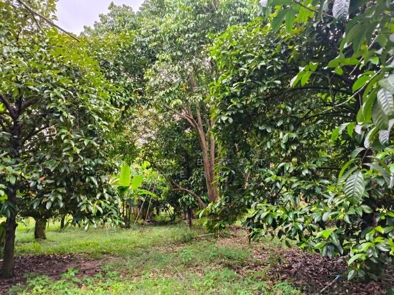 ที่ดินแกลง ระยอง, ระยอง, กระแสบน, แกลง, ระยอง, 17,780 ตร.ม., ที่ดิน ขาย, โดย The Best Property ยุ, 500570561 - DDproperty.com