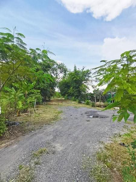 ที่ดินบ้านนา นครนายก, Nakhon Nayok, Ban Na, Ban Na, Nakhon Nayok, , 2,798 sqm, Land For Sale, by The Best Property บ๊วย, 500570564 - DDproperty.com
