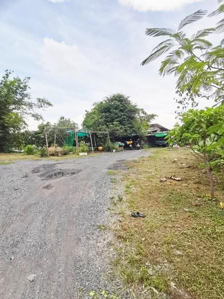 ที่ดินบ้านนา นครนายก, Nakhon Nayok, Ban Na, Ban Na, Nakhon Nayok, , 2,798 sqm, Land For Sale, by The Best Property บ๊วย, 500570564 - DDproperty.com
