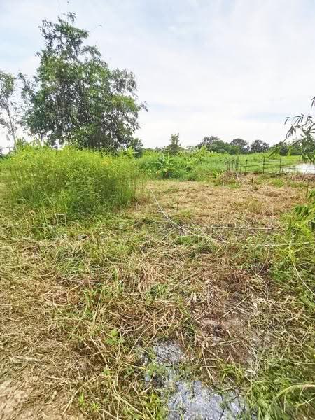 ที่ดินบ้านนา นครนายก, Nakhon Nayok, Ban Na, Ban Na, Nakhon Nayok, , 2,798 sqm, Land For Sale, by The Best Property บ๊วย, 500570564 - DDproperty.com
