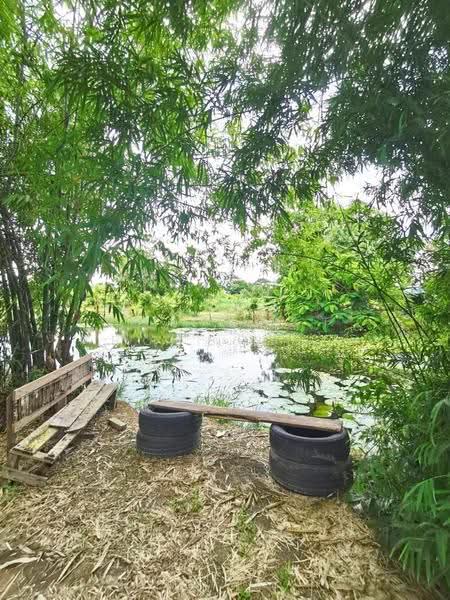 ที่ดินบ้านนา นครนายก, Nakhon Nayok, Ban Na, Ban Na, Nakhon Nayok, , 2,798 sqm, Land For Sale, by The Best Property บ๊วย, 500570564 - DDproperty.com