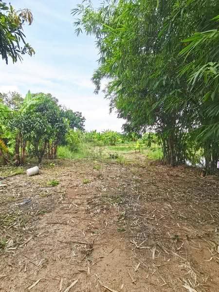 ที่ดินบ้านนา นครนายก, Nakhon Nayok, Ban Na, Ban Na, Nakhon Nayok, , 2,798 sqm, Land For Sale, by The Best Property บ๊วย, 500570564 - DDproperty.com