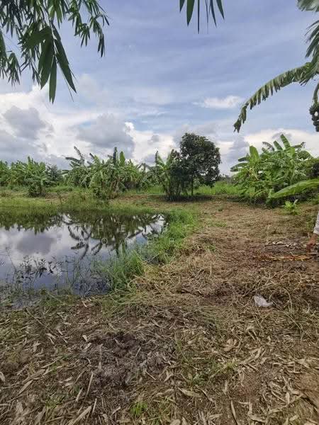 ที่ดินบ้านนา นครนายก, Nakhon Nayok, Ban Na, Ban Na, Nakhon Nayok, , 2,798 sqm, Land For Sale, by The Best Property บ๊วย, 500570564 - DDproperty.com